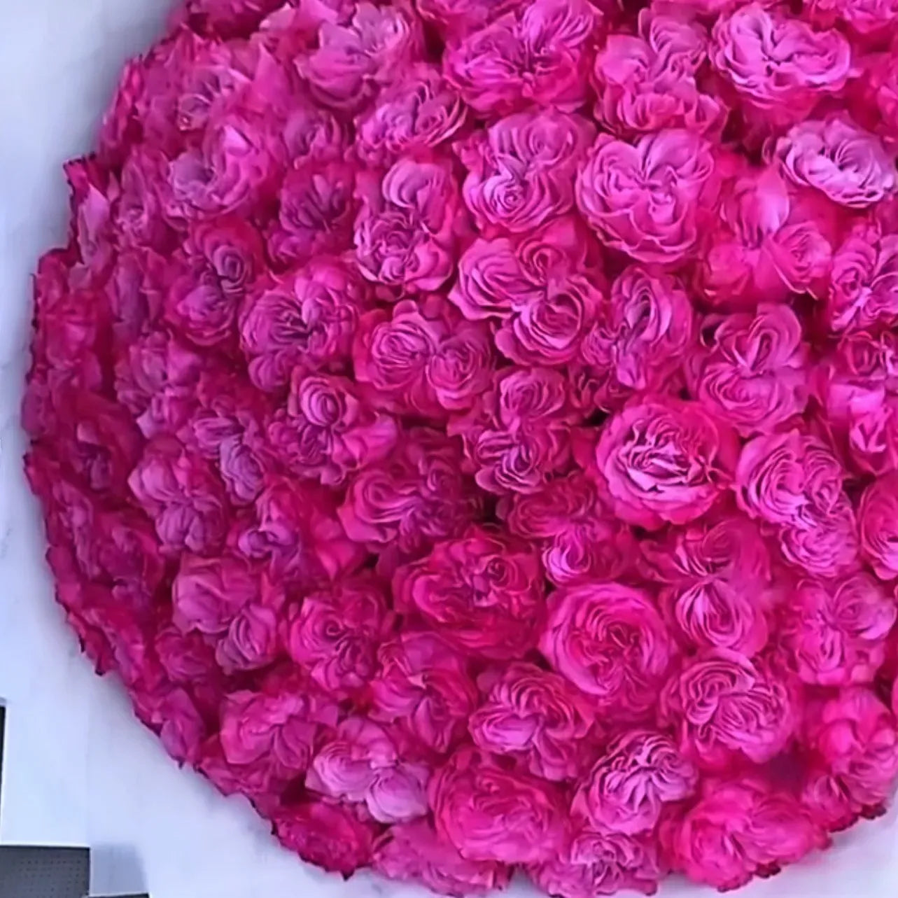 Rose Flower Bouquet With Bright Pink Roses & Eucalyptus - Miami Flower Store Same-Day Delivery Fort Lauderdale Brickell Aventura Las Olas Hallendale Beach Hollywood Sunny Isles