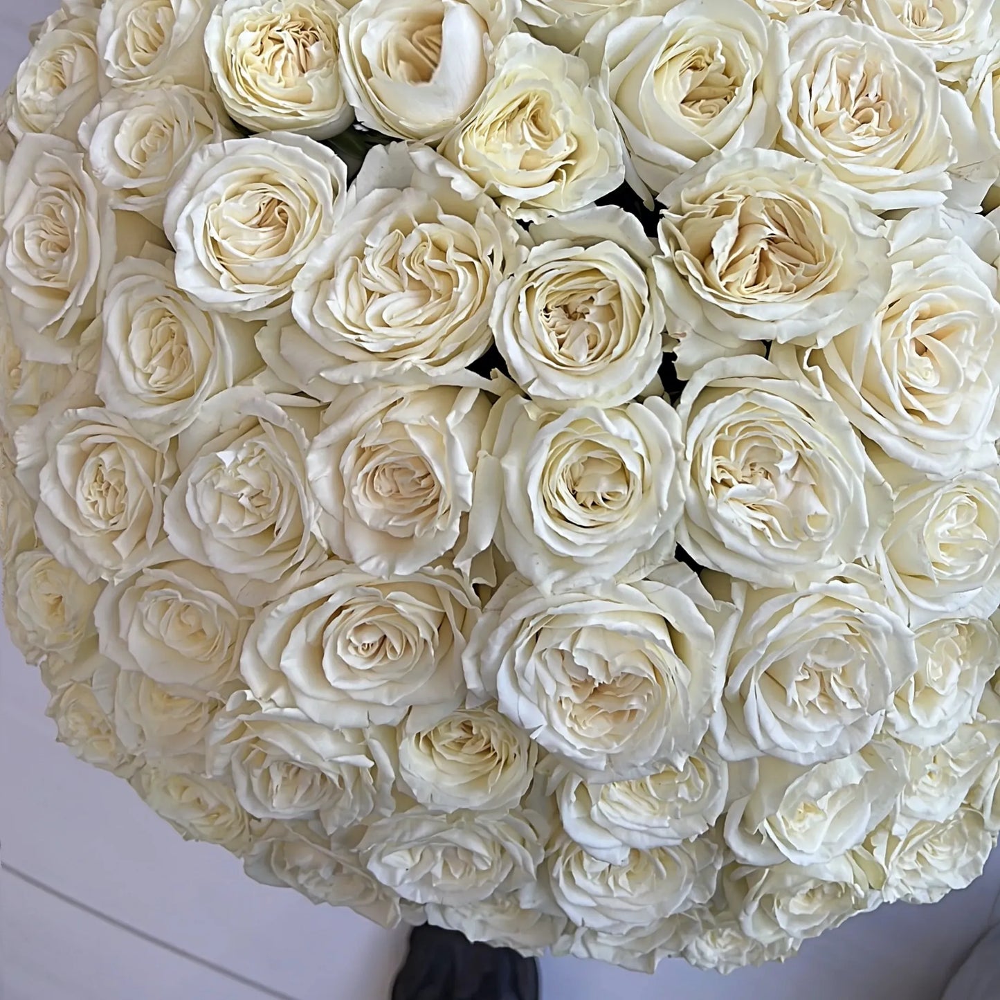 200 White Rose Luxury Flower Bouquet In A Box - Miami Flower Store Same-Day Delivery Fort Lauderdale Brickell Aventura Las Olas Hallendale Beach Hollywood Sunny Isles