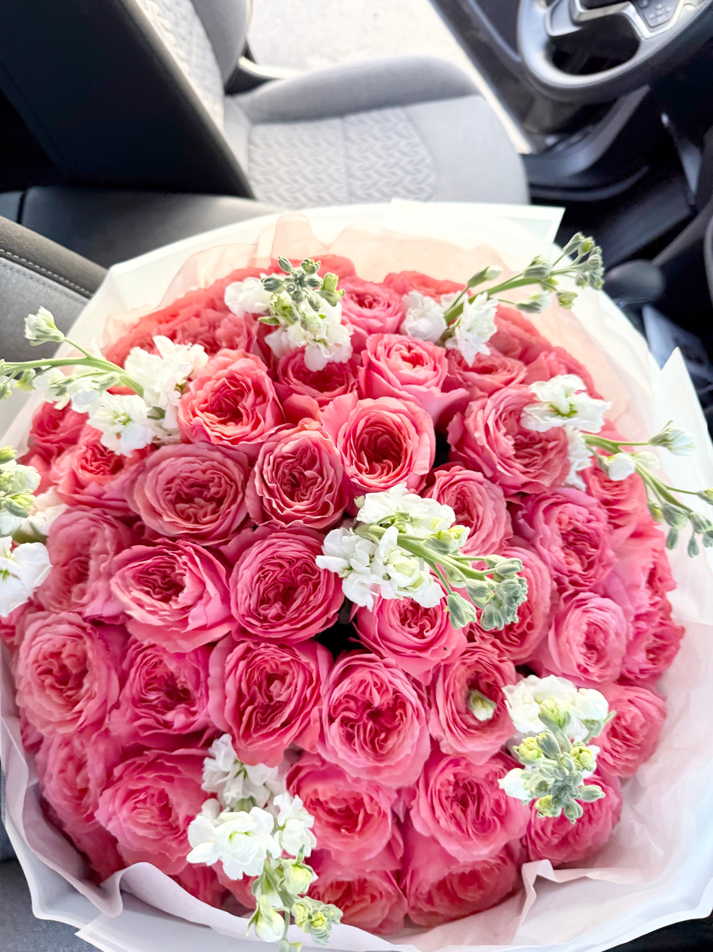 Garden Rose Flower Bouquet "Pink Expression" With White Stock