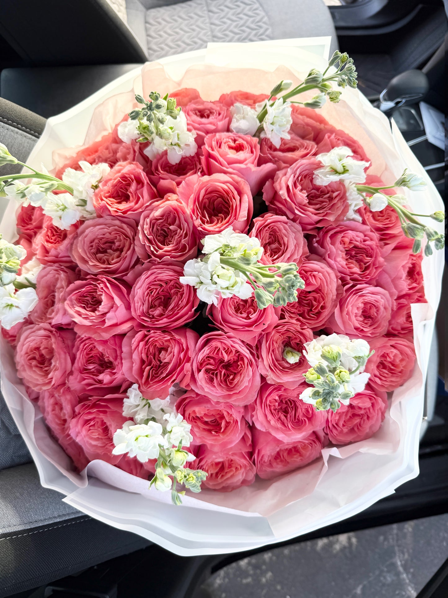 Garden Rose Flower Bouquet "Pink Expression" With White Stock