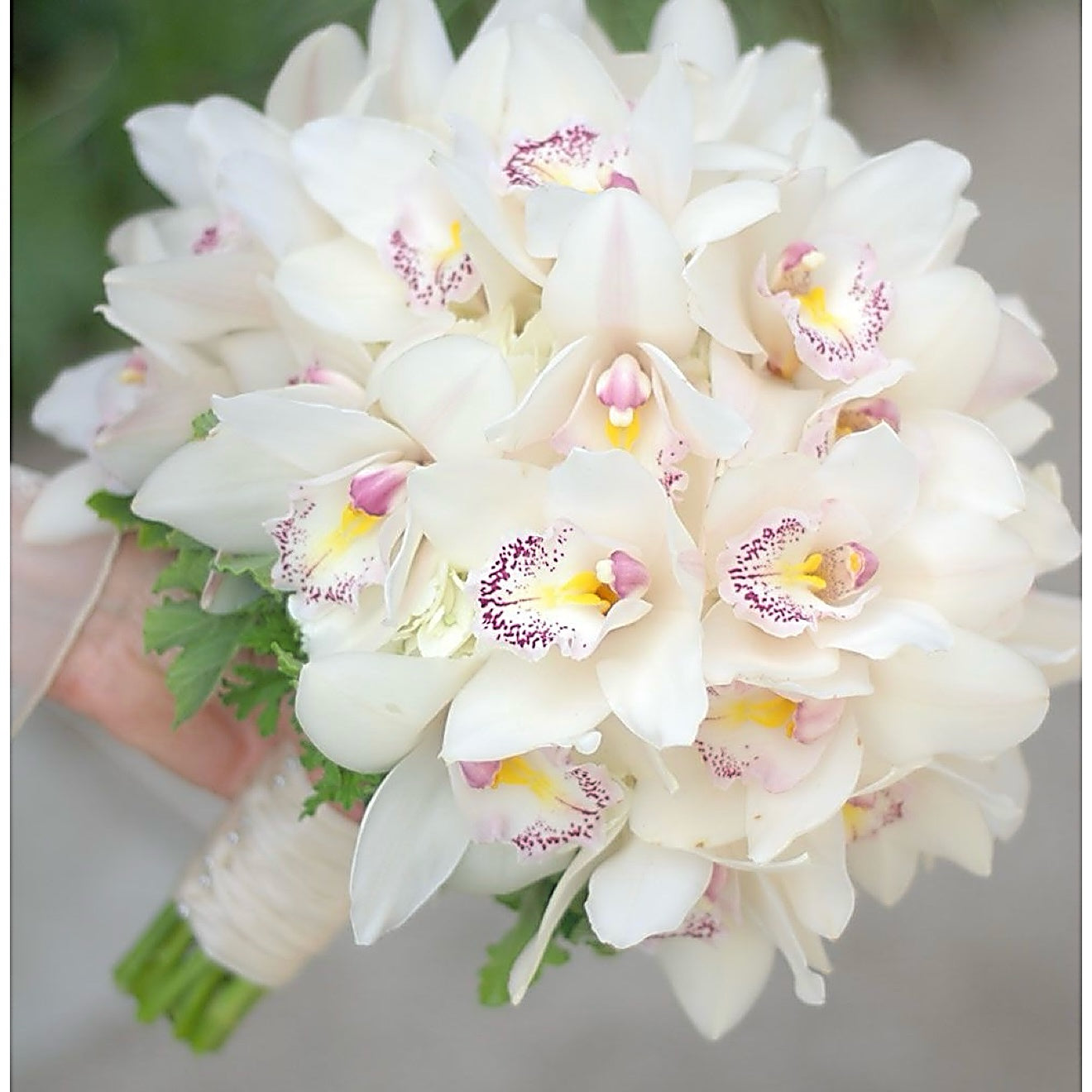 Bridal White Orchids Cymbidium Fresh Flower Bouquet| Miami Flower Store