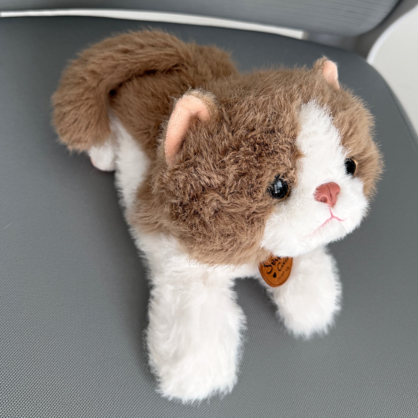 Boofy Cat | Cute Stuffed Plush Toy - Miami Flower Store Same-Day Delivery Fort Lauderdale Brickell Aventura Las Olas Hallendale Beach Hollywood Sunny Isles