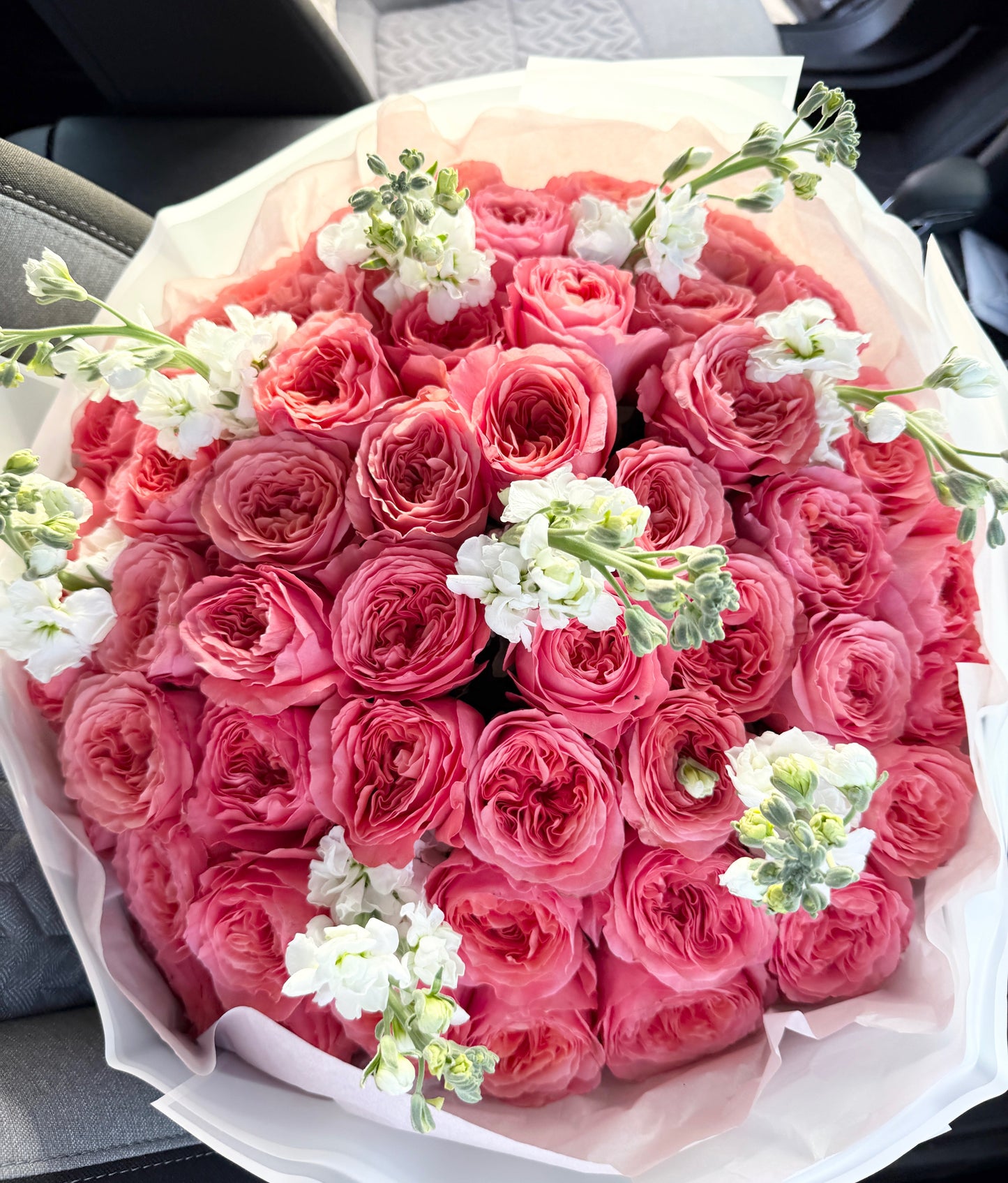 Garden Rose Flower Bouquet "Pink Expression" With White Stock