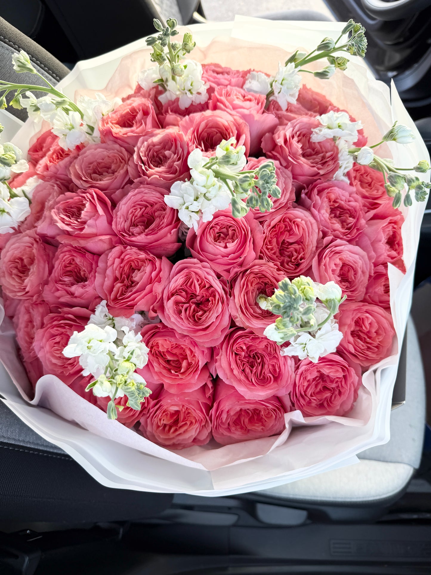 Garden Rose Flower Bouquet "Pink Expression" With White Stock