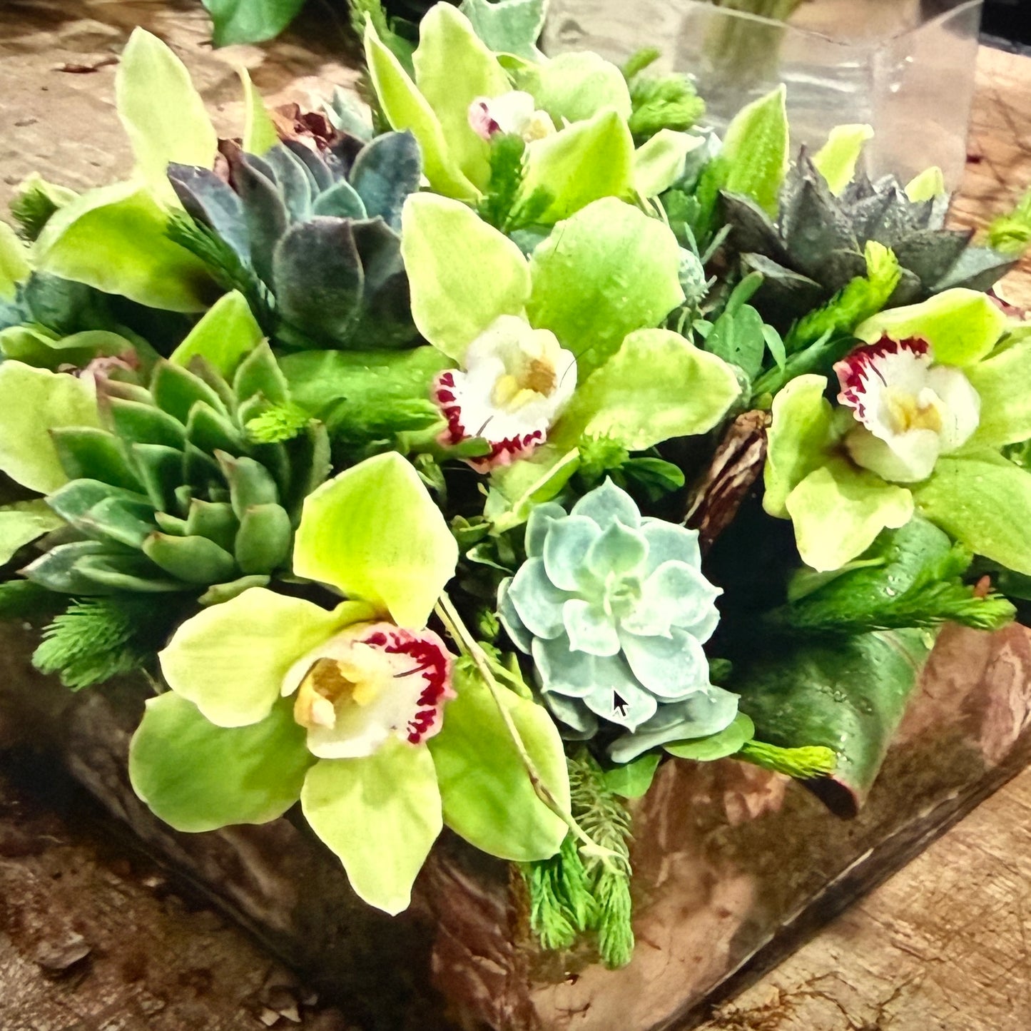 Green Orchid Cymbidium & Succulents Flower Arrangement In A Short Vase