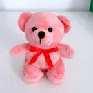 5" Pink Plush Stuffed Teddy Bear - Miami Flower Store Delivery Fort Lauderdale