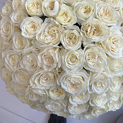 200 White Rose Luxury Flower Bouquet In A Box - Miami Flower Store Delivery Fort Lauderdale