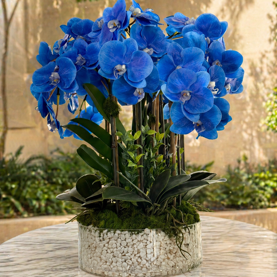 Luxury Silk Blue Phalaenopsis Orchids\Not Real Orchids\ With Succulents In Ceramic Vase\Home Decor - Miami Flower Store Same-Day Delivery Fort Lauderdale Brickell Aventura Las Olas Hallendale Beach Hollywood Sunny Isles