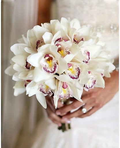 Bridal White Orchids Cymbidium Fresh Flower Bouquet| Miami Flower Store