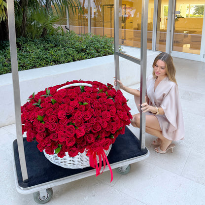 300 Red Roses Bouquet In A Baskets/Overside Basket With 300 Red Roses - Miami Flower Store Same-Day Delivery Fort Lauderdale Brickell Aventura Las Olas Hallendale Beach Hollywood Sunny Isles