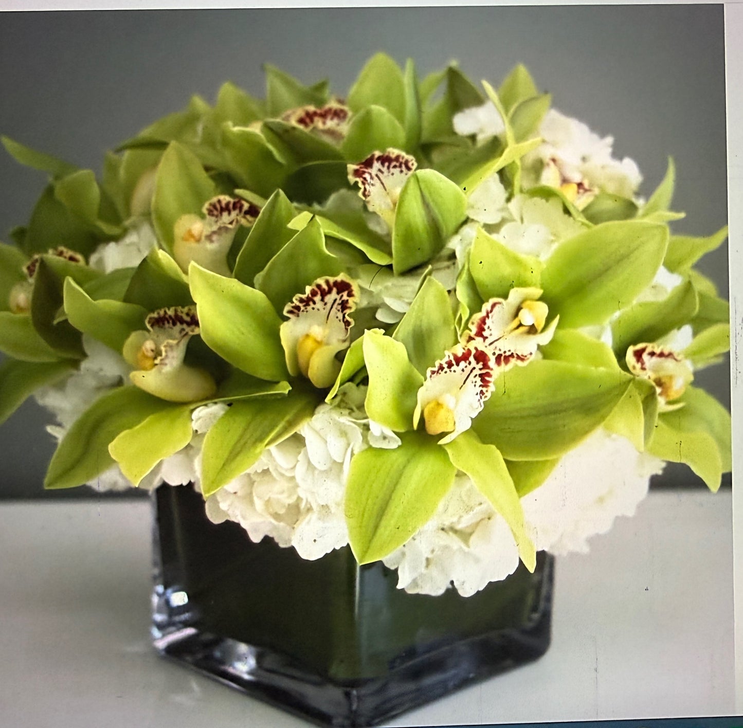 Real Green Orchid  Cymbidium Flower Arrangement In A Short Vase