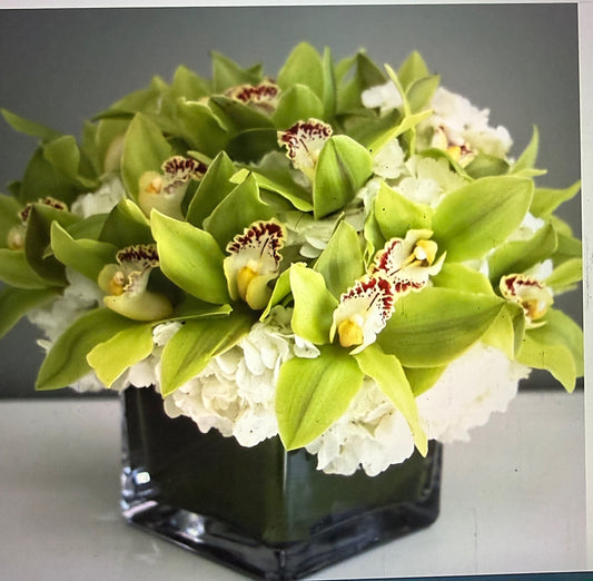 Real Green Orchid Cymbidium Flower Arrangement In A Short Vase - Miami Flower Store Same-Day Delivery Fort Lauderdale Brickell Aventura Las Olas Hallendale Beach Hollywood Sunny Isles