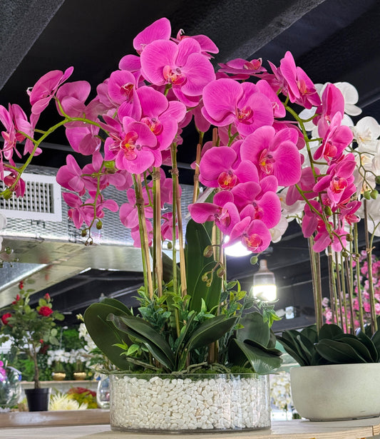 Luxury Silk Pink Phalaenopsis Orchids\Not Real\ With Succulents In Ceramic Vase\Home Decor - Miami Flower Store Same-Day Delivery Fort Lauderdale Brickell Aventura Las Olas Hallendale Beach Hollywood Sunny Isles