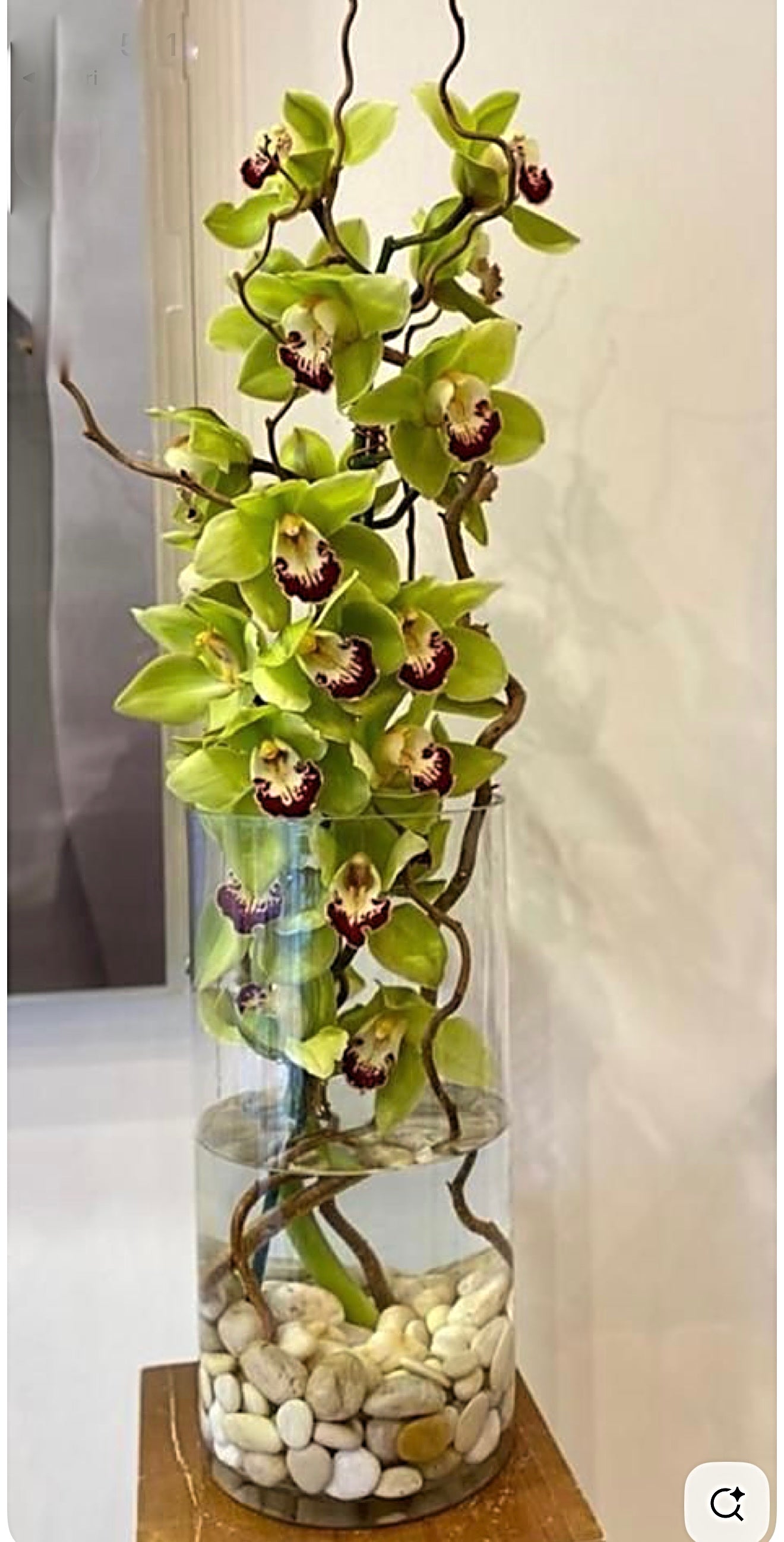 Real Green Orchid Flower Arrangement In A Tall Clear Vase - Miami Flower Store Same-Day Delivery Fort Lauderdale Brickell Aventura Las Olas Hallendale Beach Hollywood Sunny Isles