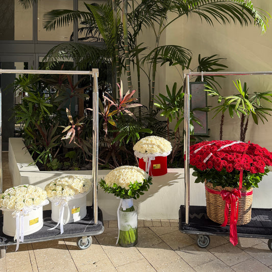 White And Red Romantic Room/3 White Rose Boxes, 50 White Rose Bouquet, 200 Red Rose Basket, Petals - Miami Flower Store Same-Day Delivery Fort Lauderdale Brickell Aventura Las Olas Hallendale Beach Hollywood Sunny Isles