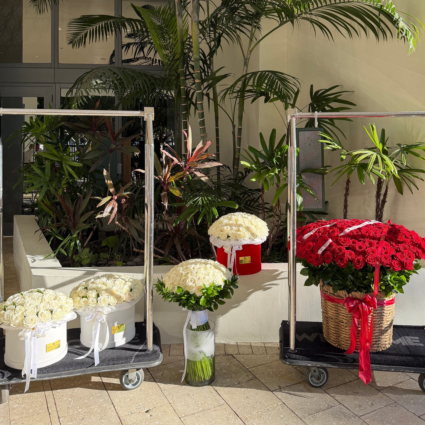 White And Red Romantic Room/3 White Rose Boxes, 50 White Rose Bouquet, 200 Red Rose Basket, Petals - Miami Flower Store Same-Day Delivery Fort Lauderdale Brickell Aventura Las Olas Hallendale Beach Hollywood Sunny Isles