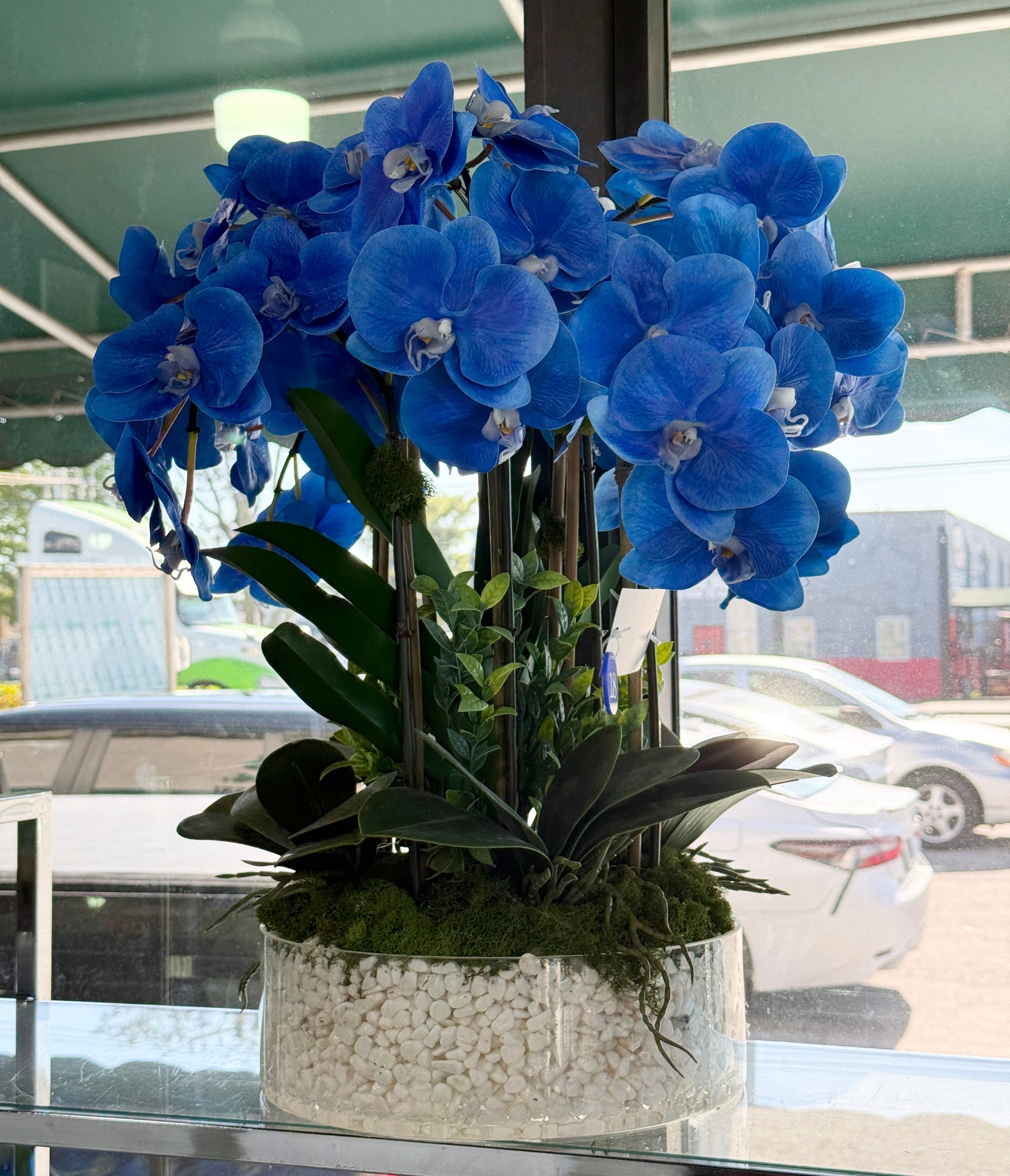 Luxury Silk Blue Phalaenopsis Orchids\Not Real Orchids\ With Succulents In Ceramic Vase\Home Decor - Miami Flower Store Same-Day Delivery Fort Lauderdale Brickell Aventura Las Olas Hallendale Beach Hollywood Sunny Isles
