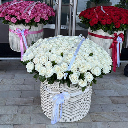 200 White Roses Flower Basket - Miami Flower Store Same-Day Delivery Fort Lauderdale Brickell Aventura Las Olas Hallendale Beach Hollywood Sunny Isles