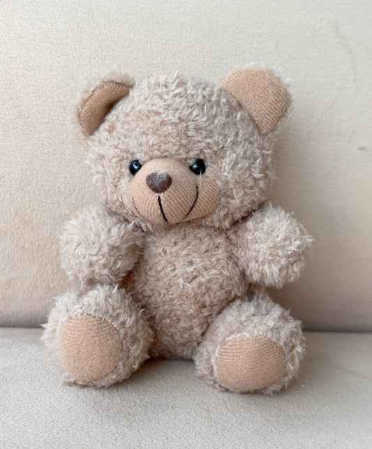 5" Beige Plush Stuffed Teddy Bear - Miami Flower Store Same-Day Delivery Fort Lauderdale Brickell Aventura Las Olas Hallendale Beach Hollywood Sunny Isles