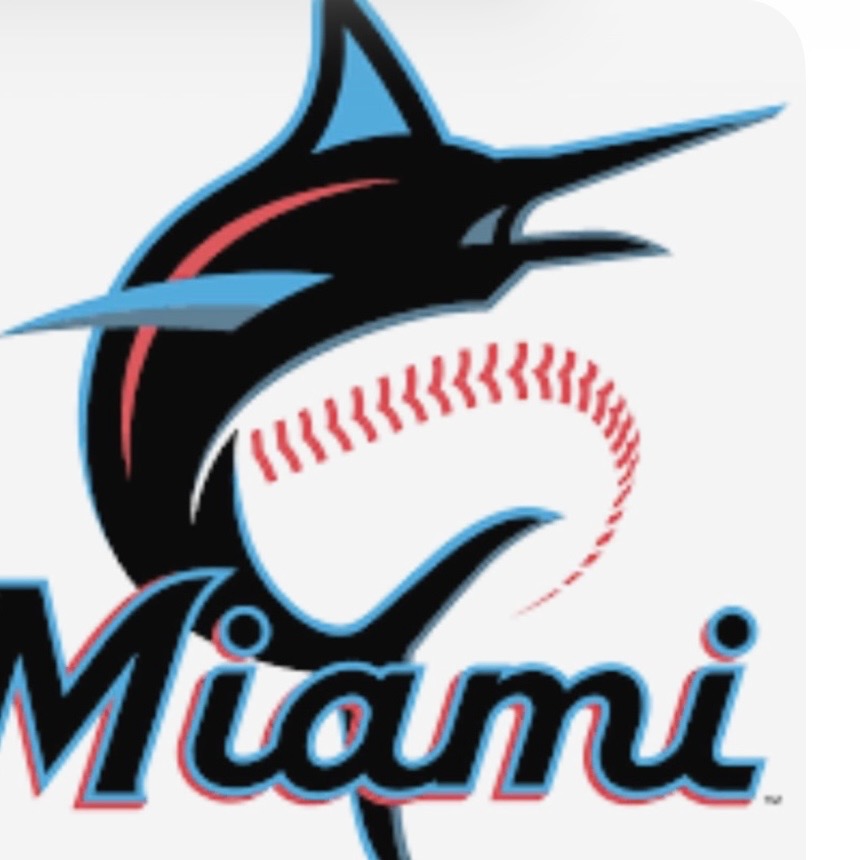 Miami Marlins Bouquet In A Vase - Miami Flower Store Same-Day Delivery Fort Lauderdale Brickell Aventura Las Olas Hallendale Beach Hollywood Sunny Isles