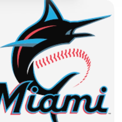 Miami Marlins Bouquet In A Vase - Miami Flower Store Same-Day Delivery Fort Lauderdale Brickell Aventura Las Olas Hallendale Beach Hollywood Sunny Isles