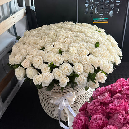 200 White Roses Flower Basket - Miami Flower Store Same-Day Delivery Fort Lauderdale Brickell Aventura Las Olas Hallendale Beach Hollywood Sunny Isles