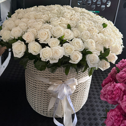 200 White Roses Flower Basket - Miami Flower Store Same-Day Delivery Fort Lauderdale Brickell Aventura Las Olas Hallendale Beach Hollywood Sunny Isles