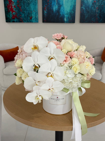 White Orchid, Hydrangea & Rose Flower Bouquet In Box - Miami Flower Store Same-Day Delivery Fort Lauderdale Brickell Aventura Las Olas Hallendale Beach Hollywood Sunny Isles