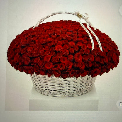 300 Red Roses Bouquet In A Baskets/Overside Basket With 300 Red Roses - Miami Flower Store Same-Day Delivery Fort Lauderdale Brickell Aventura Las Olas Hallendale Beach Hollywood Sunny Isles