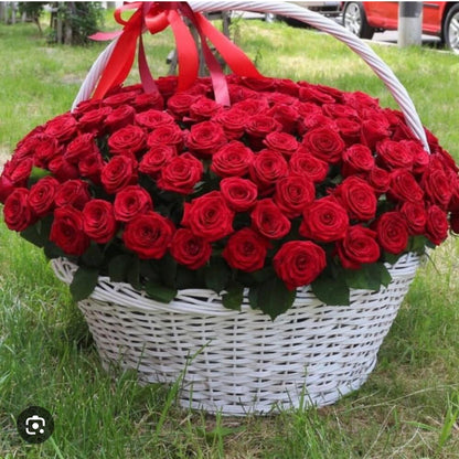 300 Red Roses Bouquet In A Baskets/Overside Basket With 300 Red Roses - Miami Flower Store Same-Day Delivery Fort Lauderdale Brickell Aventura Las Olas Hallendale Beach Hollywood Sunny Isles