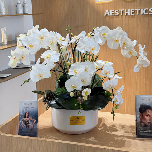 Luxury Silk White Phalaenopsis Orchids \Not Real Orchids\With Succulents In Ceramic Vase - Miami Flower Store Same-Day Delivery Fort Lauderdale Brickell Aventura Las Olas Hallendale Beach Hollywood Sunny Isles