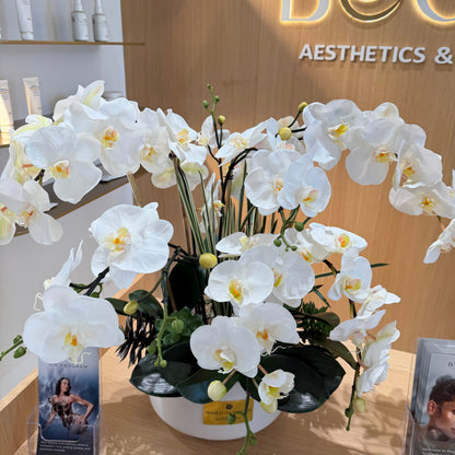 Luxury Silk White Phalaenopsis Orchids \Not Real Orchids\With Succulents In Ceramic Vase - Miami Flower Store Same-Day Delivery Fort Lauderdale Brickell Aventura Las Olas Hallendale Beach Hollywood Sunny Isles