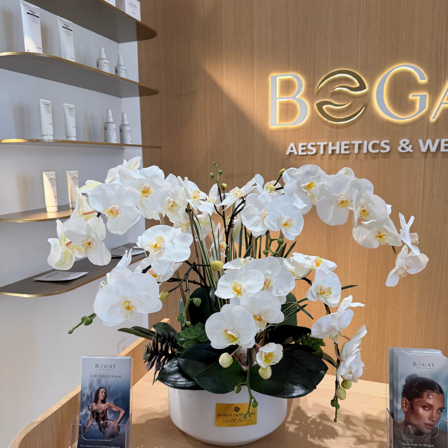Luxury Silk White Phalaenopsis Orchids \Not Real Orchids\With Succulents In Ceramic Vase - Miami Flower Store Same-Day Delivery Fort Lauderdale Brickell Aventura Las Olas Hallendale Beach Hollywood Sunny Isles