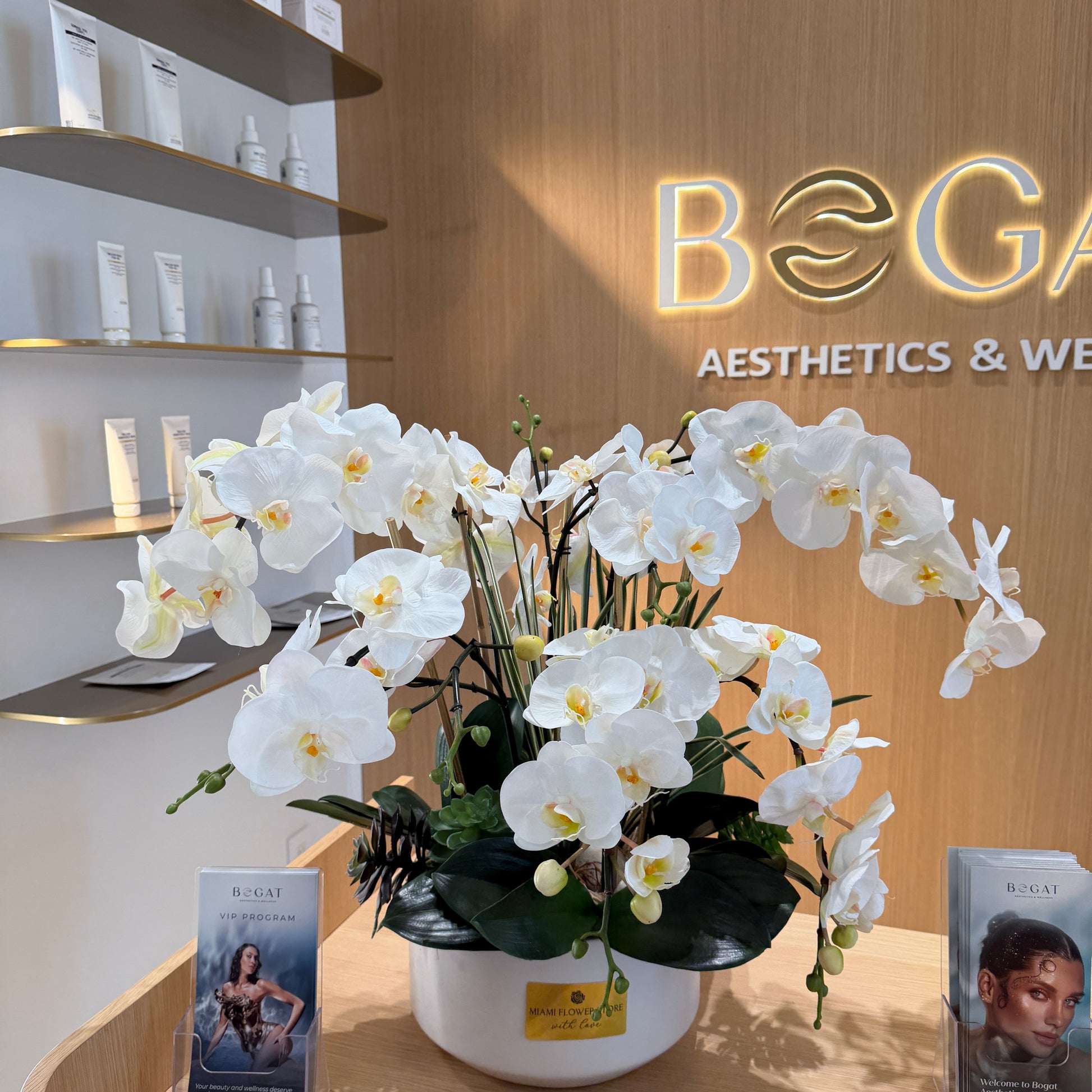Luxury Silk White Phalaenopsis Orchids \Not Real Orchids\With Succulents In Ceramic Vase - Miami Flower Store Same-Day Delivery Fort Lauderdale Brickell Aventura Las Olas Hallendale Beach Hollywood Sunny Isles