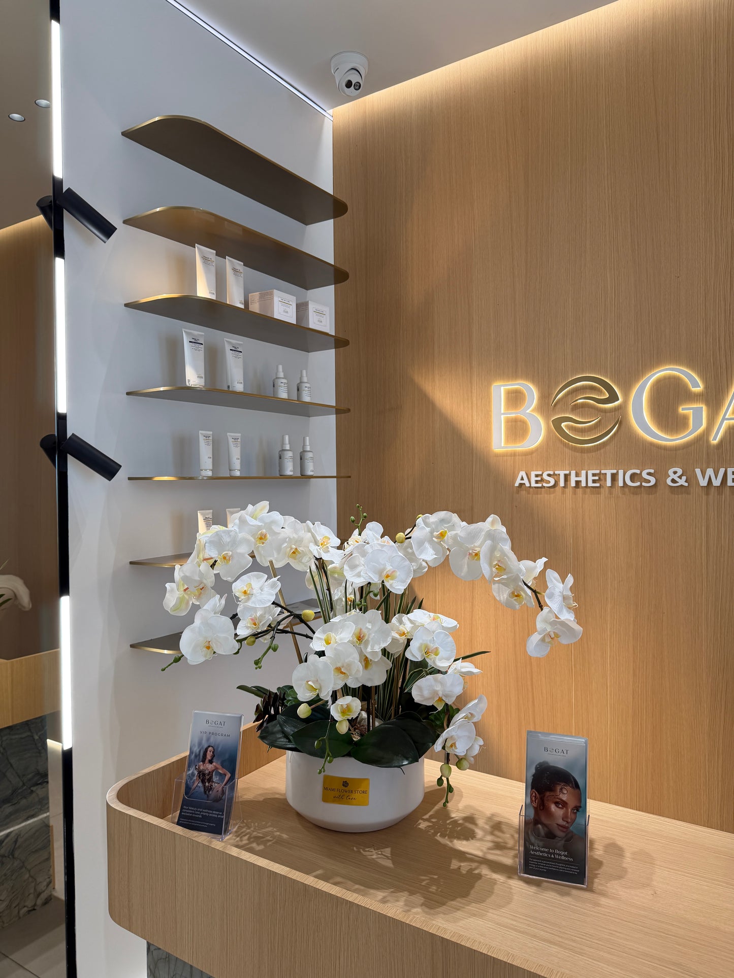 Luxury Silk White Phalaenopsis Orchids \Not Real Orchids\With Succulents In Ceramic Vase - Miami Flower Store Same-Day Delivery Fort Lauderdale Brickell Aventura Las Olas Hallendale Beach Hollywood Sunny Isles