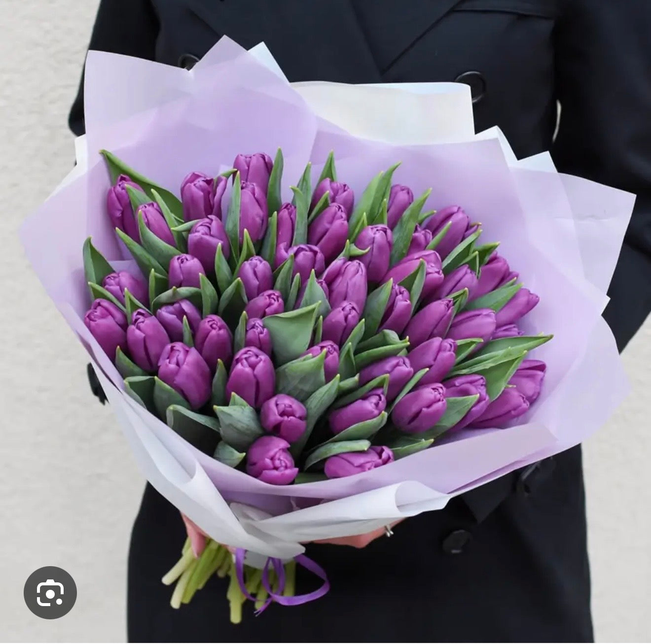 30 / 50 Purple Tulip Flower Bouquet - Miami Flower Store Same-Day Delivery Fort Lauderdale Brickell Aventura Las Olas Hallendale Beach Hollywood Sunny Isles