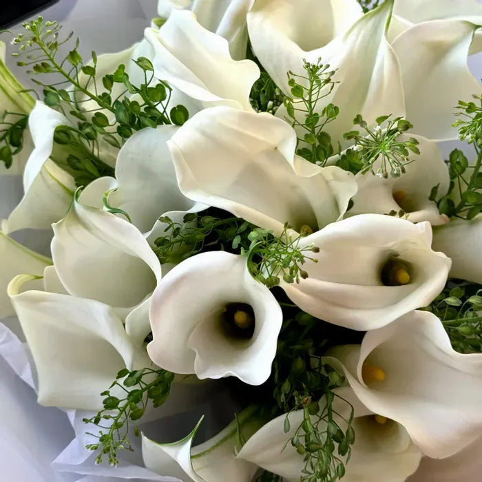 Calla Lilies Flower Bouquet Of 30 White Callas - Miami Flower Store Delivery Fort Lauderdale