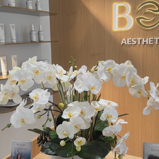 Luxury Silk White Phalaenopsis Orchids \Not Real Orchids\With Succulents In Ceramic Vase - Miami Flower Store Same-Day Delivery Fort Lauderdale Brickell Aventura Las Olas Hallendale Beach Hollywood Sunny Isles