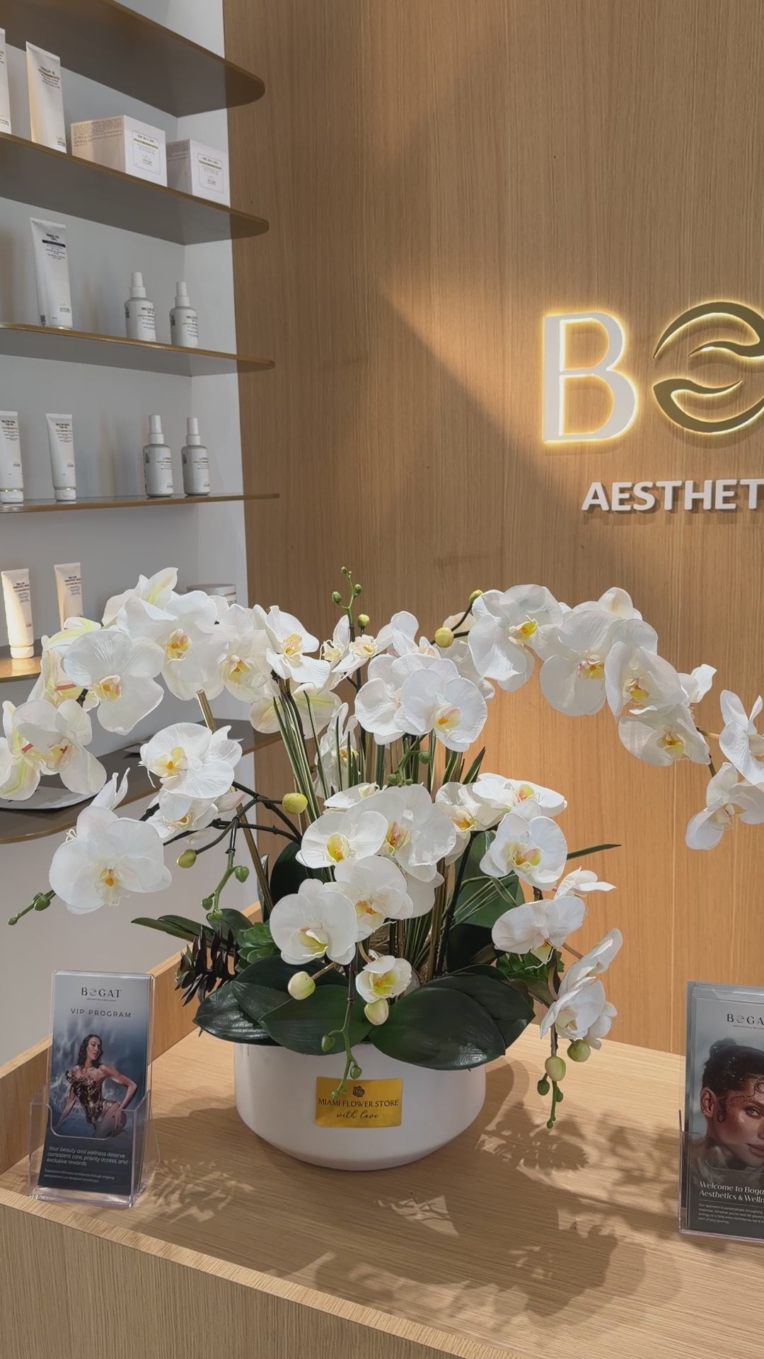 Luxury Silk White Phalaenopsis Orchids \Not Real Orchids\With Succulents In Ceramic Vase - Miami Flower Store Same-Day Delivery Fort Lauderdale Brickell Aventura Las Olas Hallendale Beach Hollywood Sunny Isles