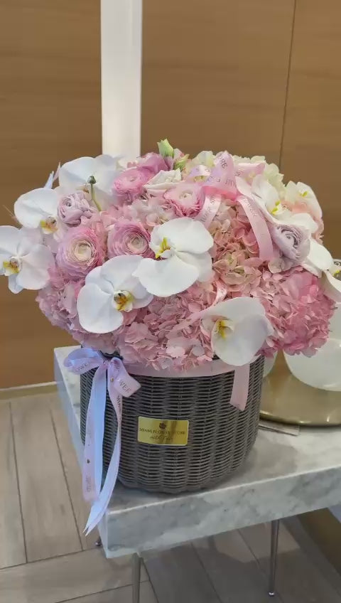 Hydrangea Flower Basket / Ranunculus And White Orchids - Miami Flower Store Same-Day Delivery Fort Lauderdale Brickell Aventura Las Olas Hallendale Beach Hollywood Sunny Isles