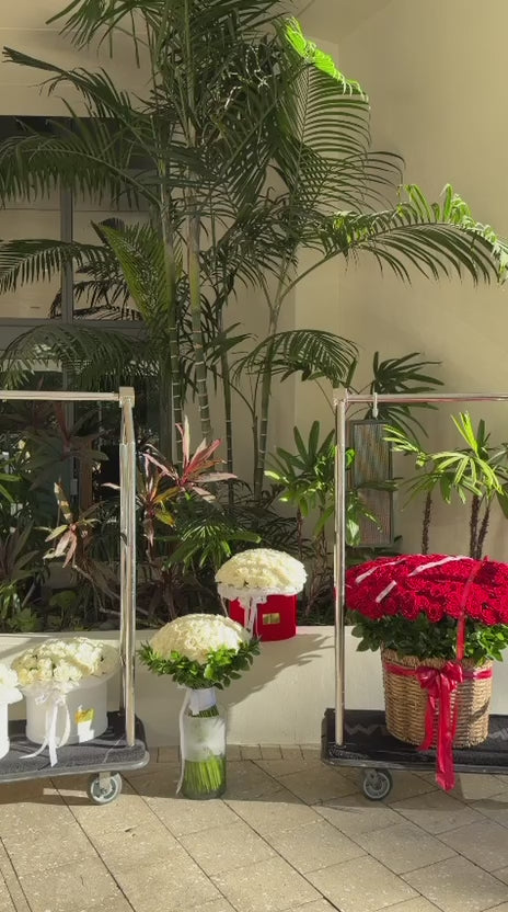White And Red Romantic Room/3 White Rose Boxes, 50 White Rose Bouquet, 200 Red Rose Basket, Petals - Miami Flower Store Same-Day Delivery Fort Lauderdale Brickell Aventura Las Olas Hallendale Beach Hollywood Sunny Isles